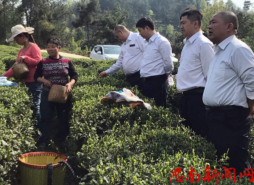 思南長(zhǎng)征村鎮(zhèn)銀行到香壩鎮(zhèn)走訪調(diào)研